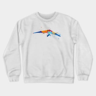 Delta wing in watercolor Crewneck Sweatshirt